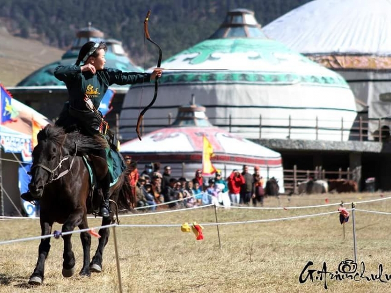 Морьт харвааны <br>тэмцээн