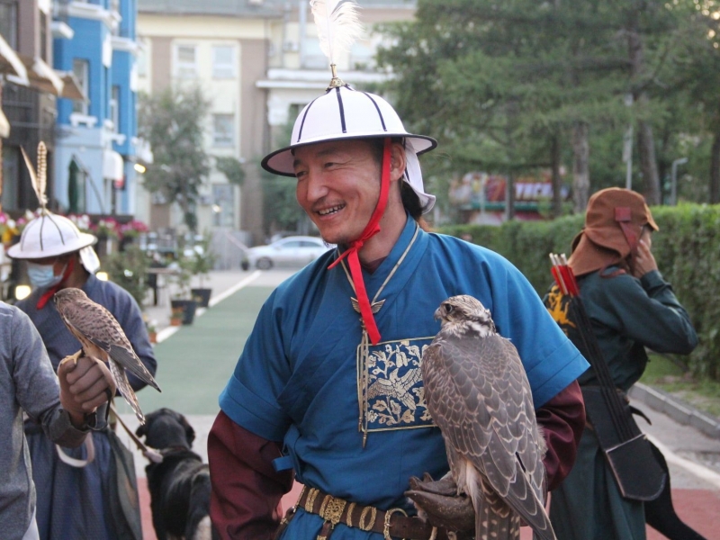 Шонхор шувууны <br>үзүүлбэр